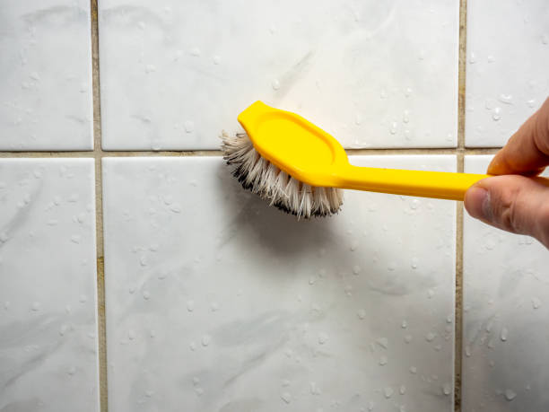 Best Insurance-Related Mold Remediation in Manorhaven, NY