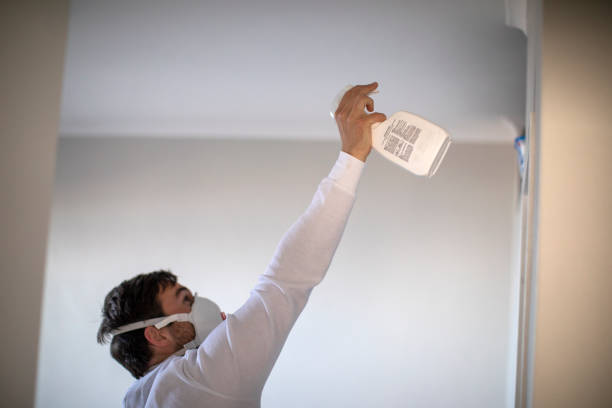 Best Health and Safety Mold Remediation in Manorhaven, NY